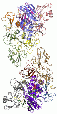 Image Asym.Unit - manually