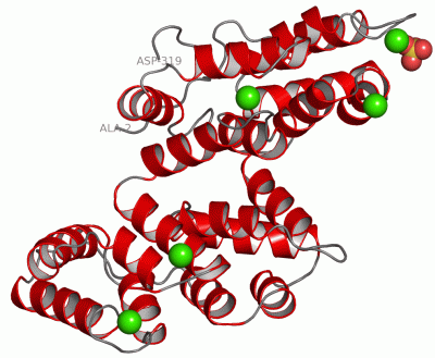 Image Asym./Biol. Unit - manually