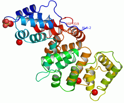 Image Asym./Biol. Unit - manually