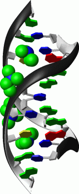 Image Biol.Unit 1 - manually