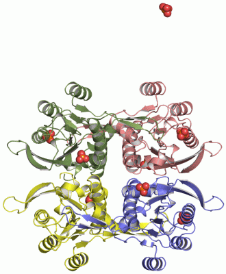 Image Asym./Biol. Unit - manually