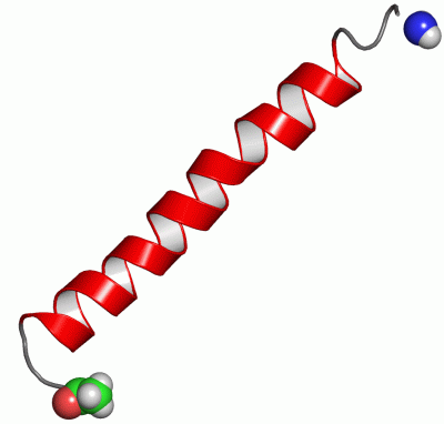 Image NMR Structure - manually