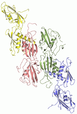 Image Asym./Biol. Unit - manually