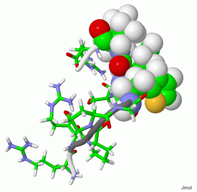 Image NMR Structure - manually
