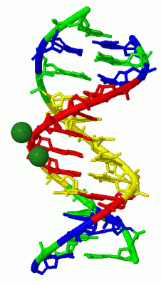 Image Biol.Unit 1 - manually