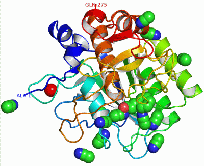 Image Asym./Biol. Unit - manually