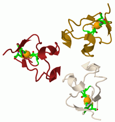 Image Biol.Unit 1 - manually