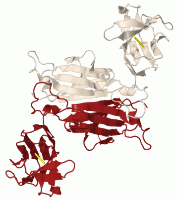 Image Biol.Unit 1 - manually