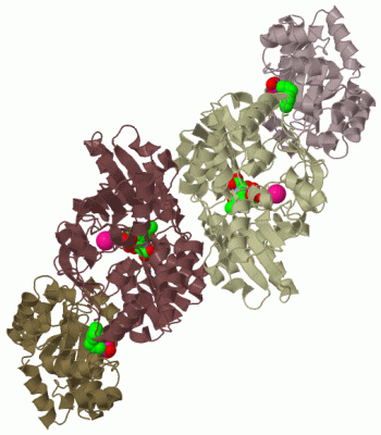 Image Biol.Unit 1 - manually