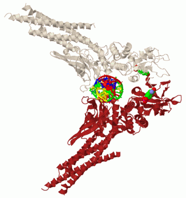 Image Biol.Unit 1 - manually