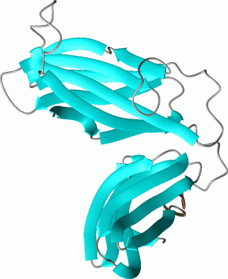 Image NMR Structure - manually