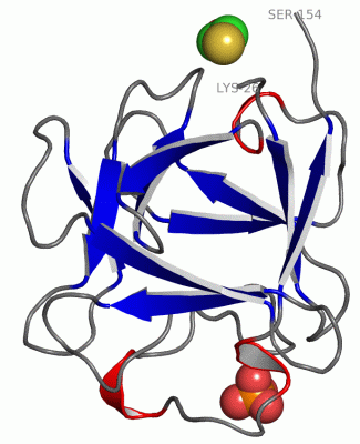 Image Asym./Biol. Unit - manually