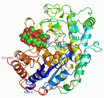 Image Asym./Biol. Unit - manually