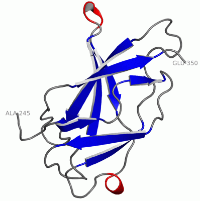 Image Asym.Unit - manually