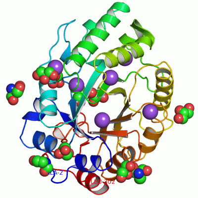 Image Asym./Biol. Unit - manually