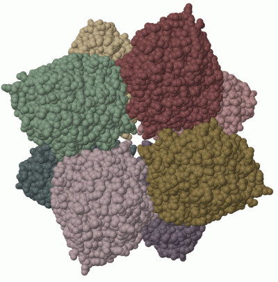 Image Biol.Unit 1 - manually