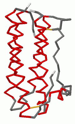 Image Asym./Biol. Unit - manually