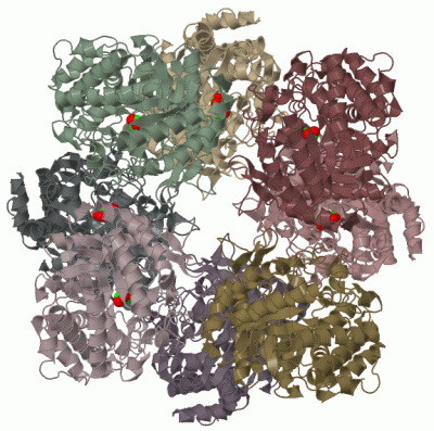 Image Biol.Unit 1 - manually