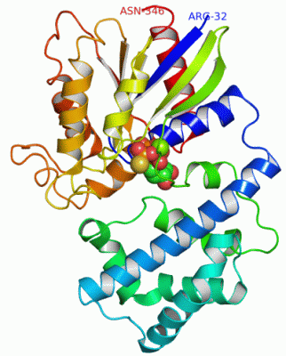 Image Asym./Biol. Unit - manually