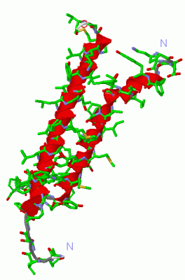 Image NMR Structure - manually