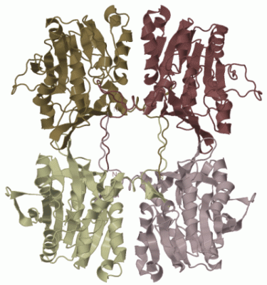 Image Biol.Unit 1 - manually