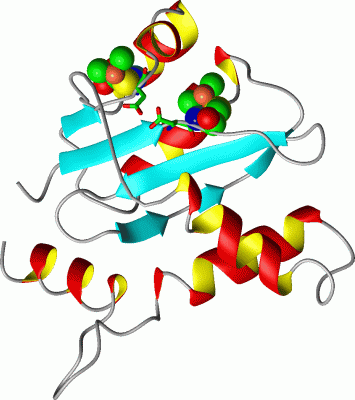 Image Asym.Unit - manually