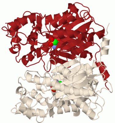 Image Biol.Unit 1 - manually