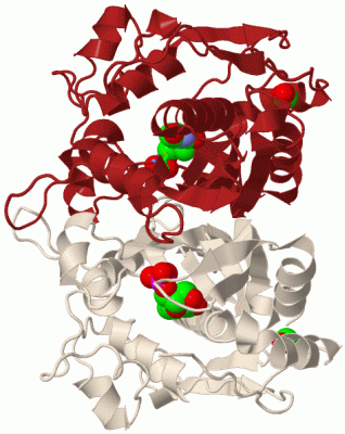 Image Biol.Unit 1 - manually