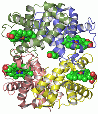 Image Asym./Biol. Unit - manually