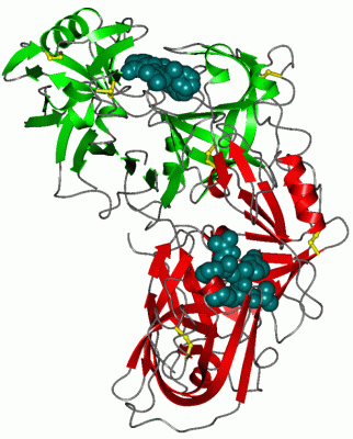 Image Asym./Biol. Unit - manually