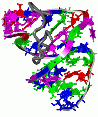 Image NMR Structure - manually