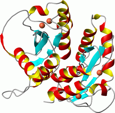 Image Asym./Biol. Unit - manually