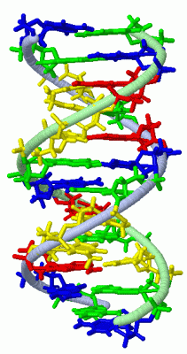 Image NMR Structure - manually