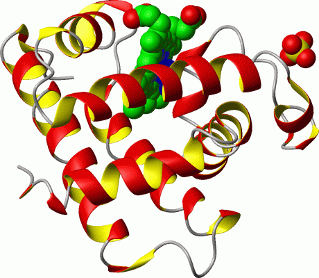 Image Asym./Biol. Unit - manually