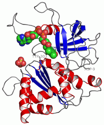 Image Asym./Biol. Unit - manually