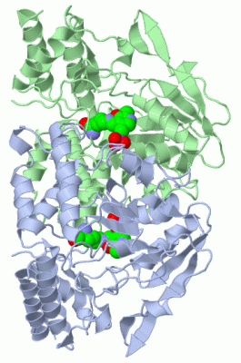 Image Asym./Biol. Unit - manually