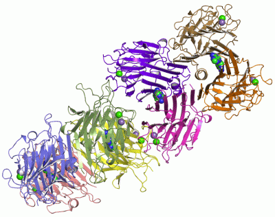 Image Asym.Unit - manually