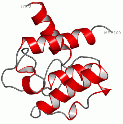 Image Asym./Biol. Unit - manually