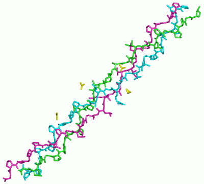 Image Asym./Biol. Unit - manually