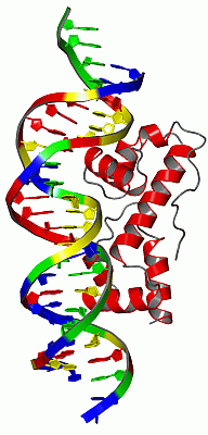 Image Asym./Biol. Unit - manually