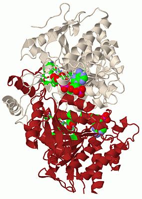 Image Biol.Unit 1 - manually