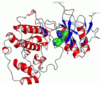 Image Asym./Biol. Unit - manually