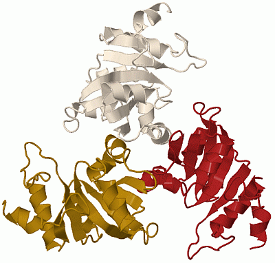 Image Biol.Unit 1 - manually