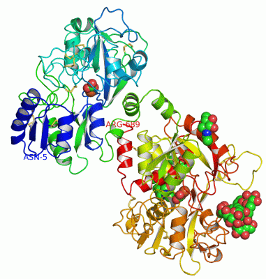 Image Asym./Biol. Unit - manually