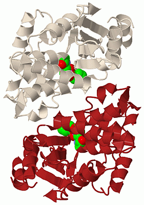 Image Asym./Biol. Unit - manually