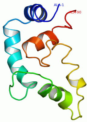 Image NMR Structure - manually