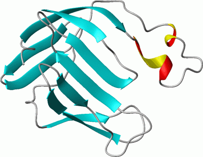 Image NMR Structure - manually