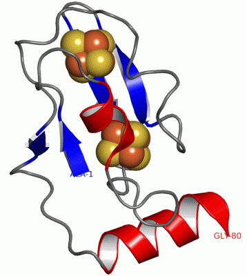 Image Asym./Biol. Unit - manually