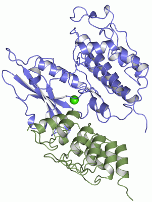 Image Asym./Biol. Unit - manually