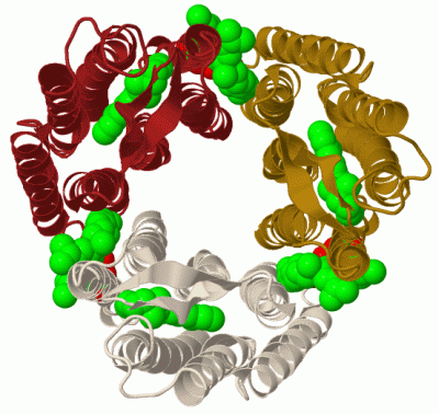 Image Biol.Unit 1 - manually